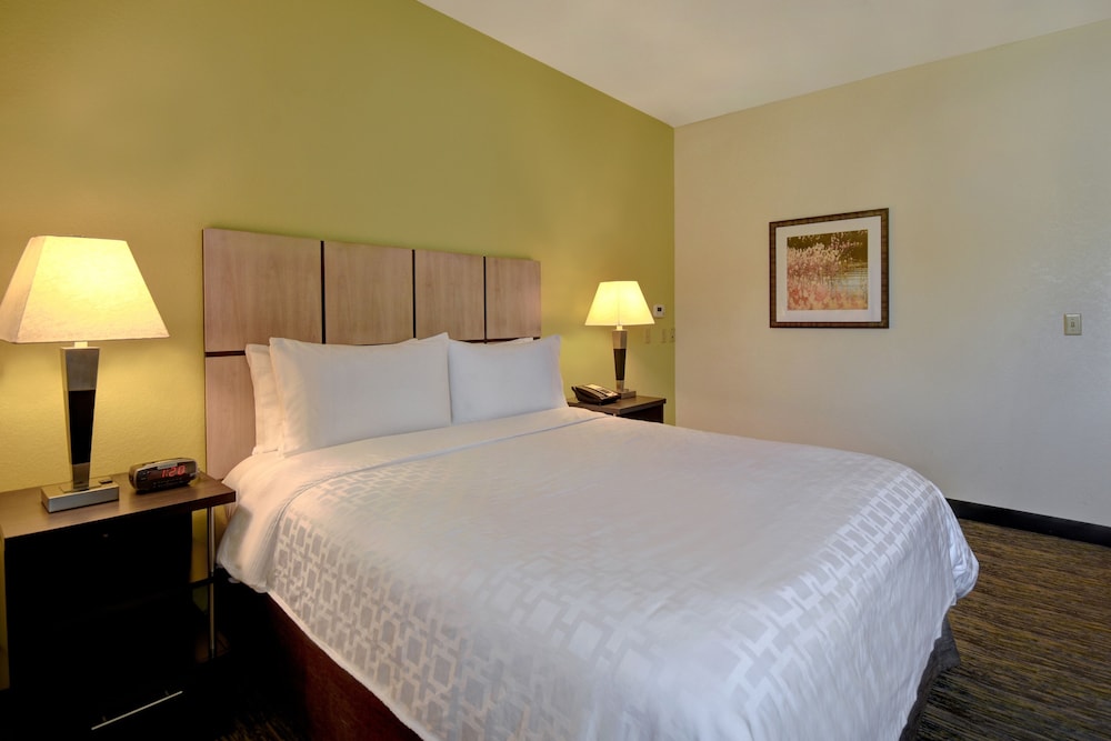 Suite, 1 Bedroom, Roll-in Shower (Mobility) photo 2