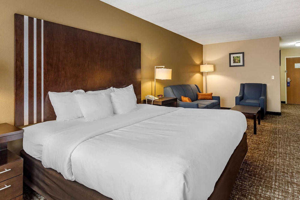 Suite, 1 Bedroom