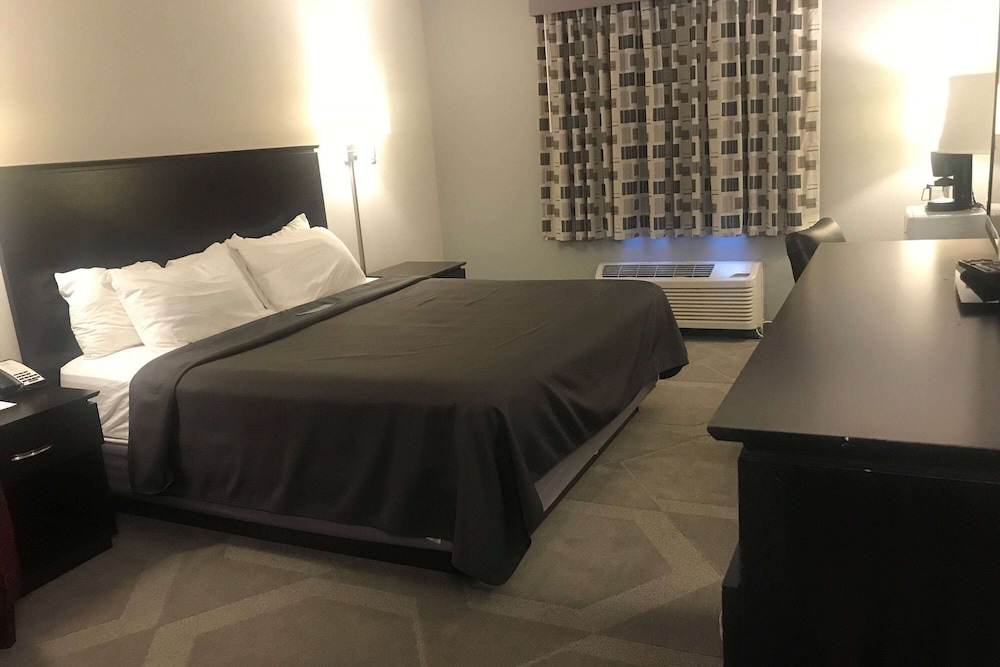 Room, 1 King Bed, Non Smoking