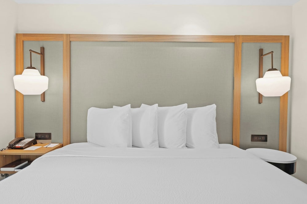 Suite, 1 King Bed (Mobility Accessible, Roll-in Shower) - Photo 2