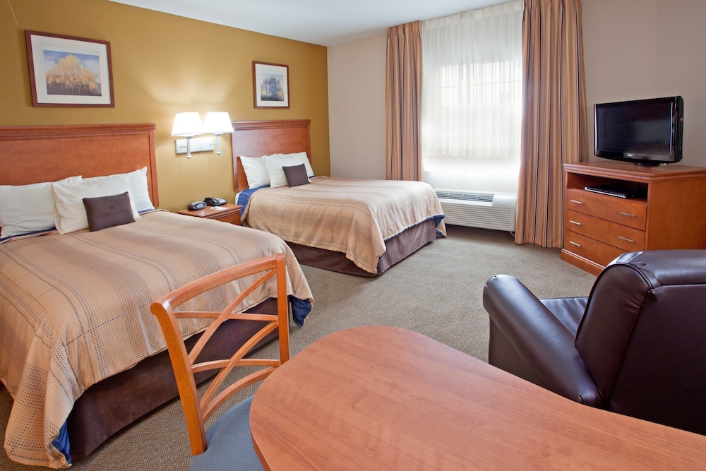 Studio Suite, 2 Double Beds - Photo 5