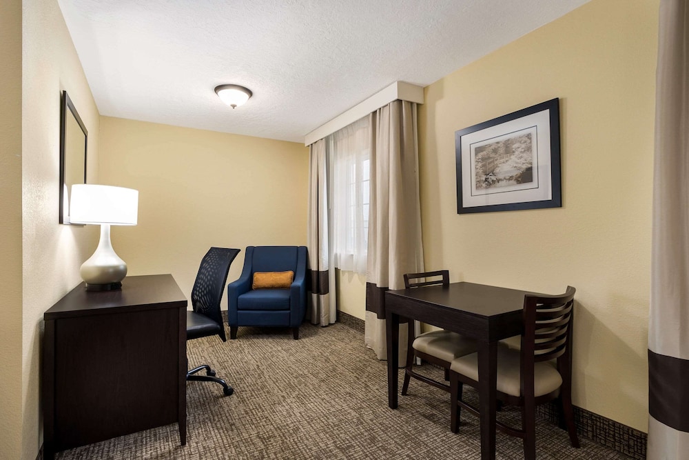 Suite, 1 King Bed, Non Smoking photo 3