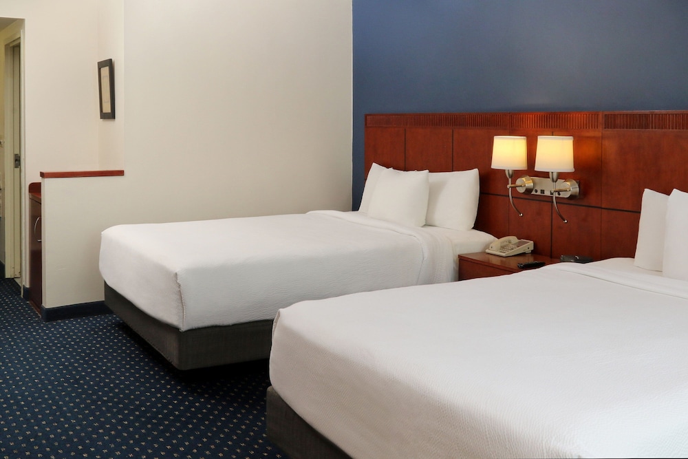 Suite, 1 Bedroom - Photo 9