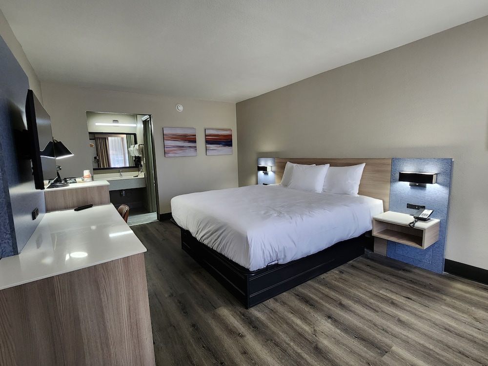 Deluxe Single Room, 1 King Bed, Non Smoking, Refrigerator & Microwave