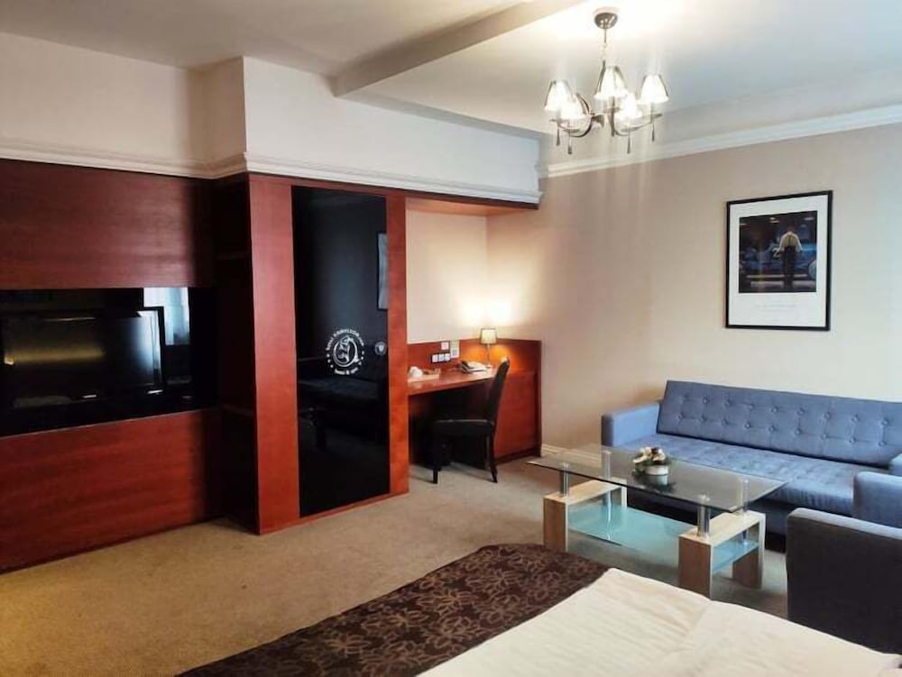 Business Studio, 1 King Bed, Refrigerator photo 2