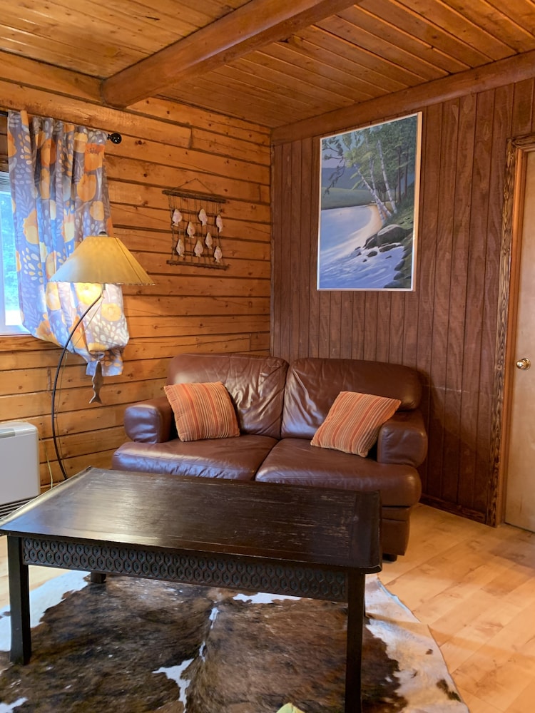 Lovely Cabin #2 on Kenai River photo 1