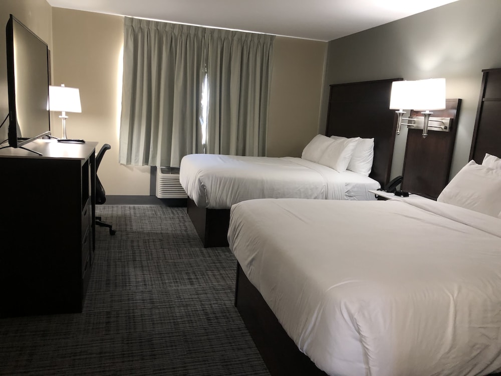 Studio Suite, Multiple Beds, Non Smoking