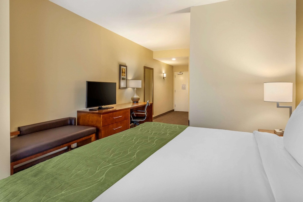 Suite, 1 King Bed with Sofa bed, Accessible, Non Smoking - Photo 2