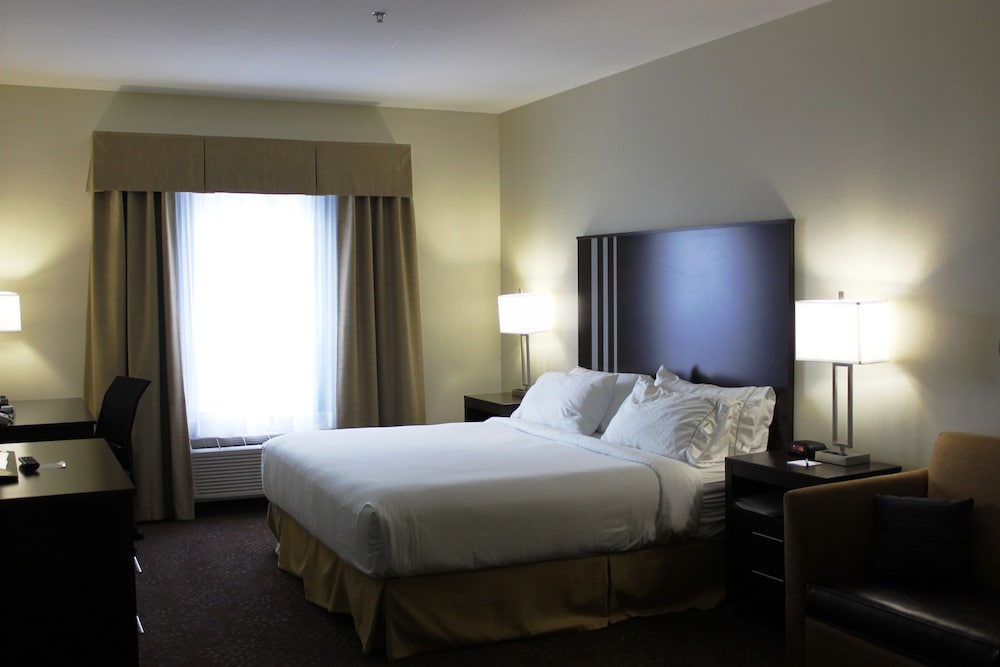 Suite, 1 King Bed, Accessible (Communications) photo 3