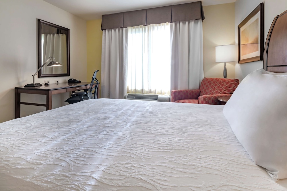 Suite, 1 King Bed, Accessible (Roll-In Shower) - Photo 1