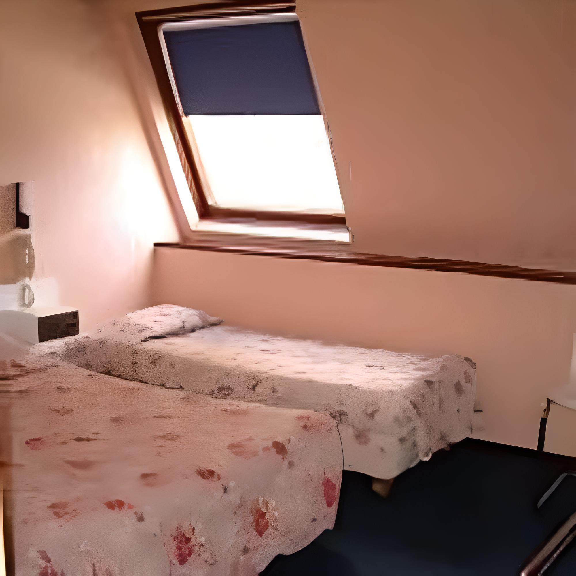 Twin Room photo 1