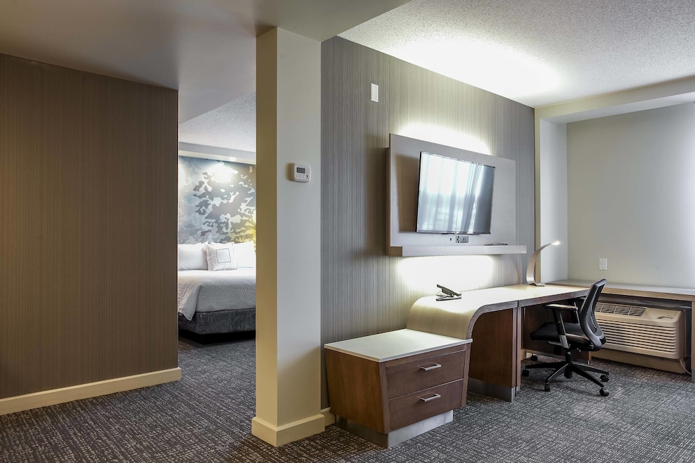 Suite, 1 King Bed with Sofa bed photo 2