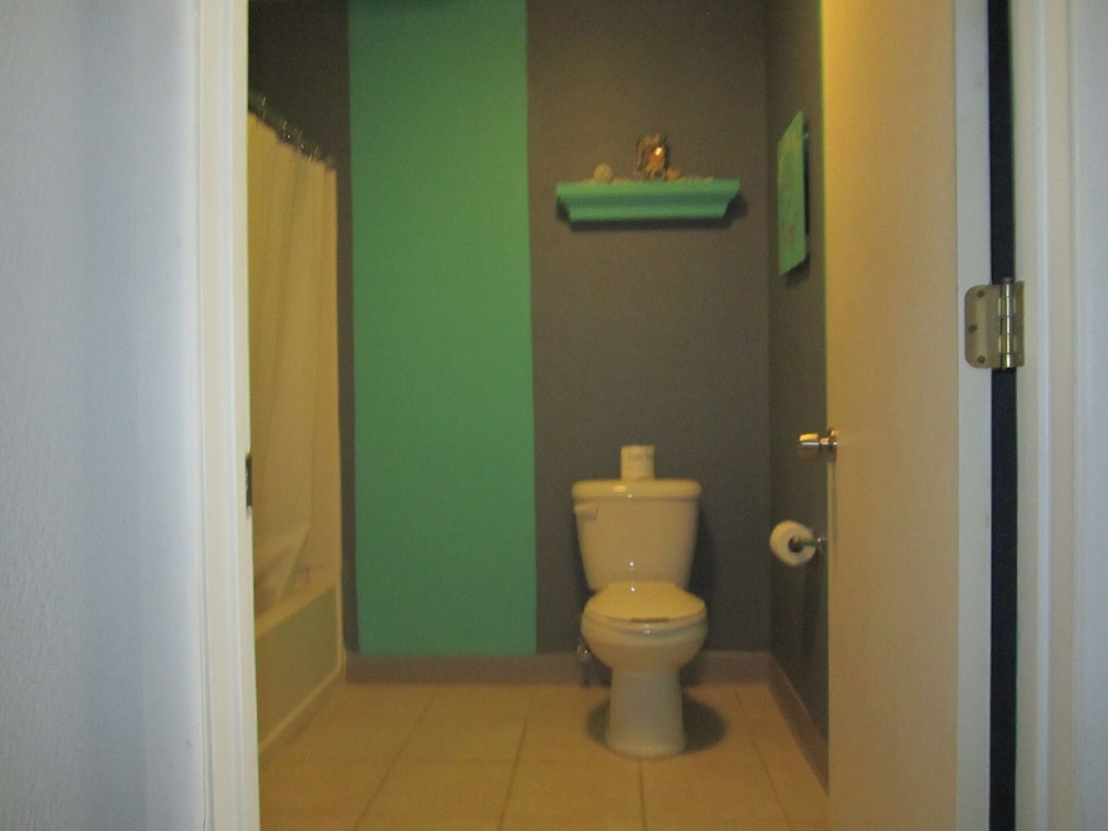 Standard Single Room, 1 King Bed photo 2