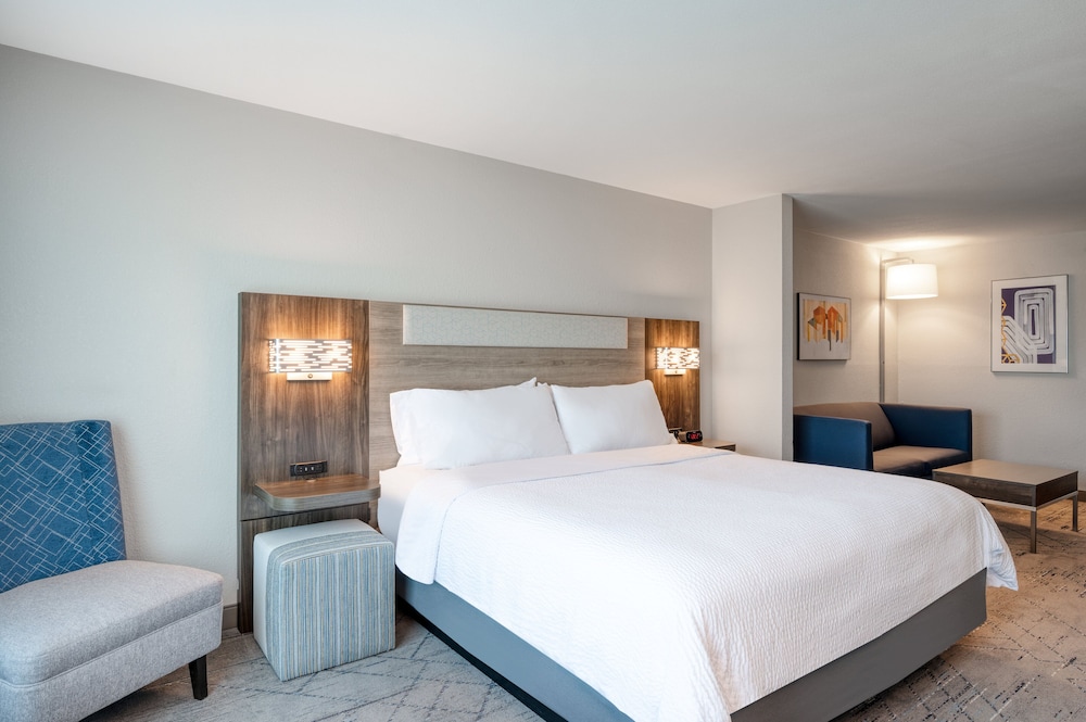 Suite, 1 King Bed, Accessible (Accessible Tub) - Photo 1