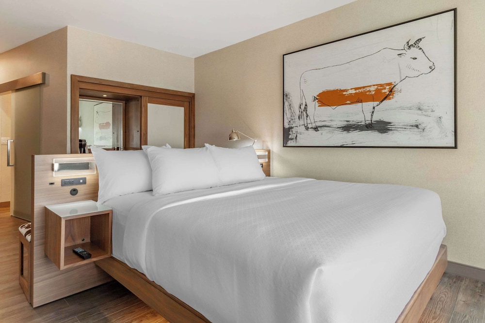 Executive Room, 1 King Bed, Non Smoking - Photo 3