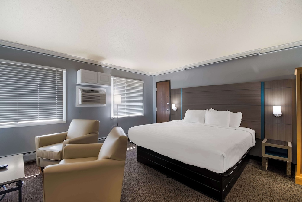 Standard Room, 1 King Bed, Non Smoking, Refrigerator & Microwave (Larger Room) photo 1
