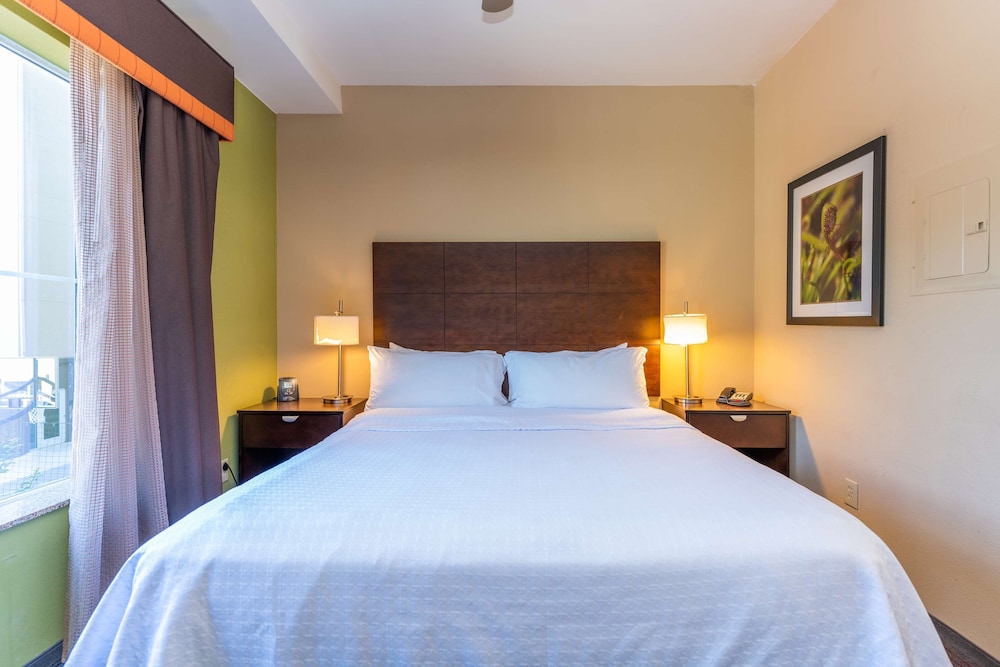 Suite, 1 King Bed, Non Smoking - Photo 5