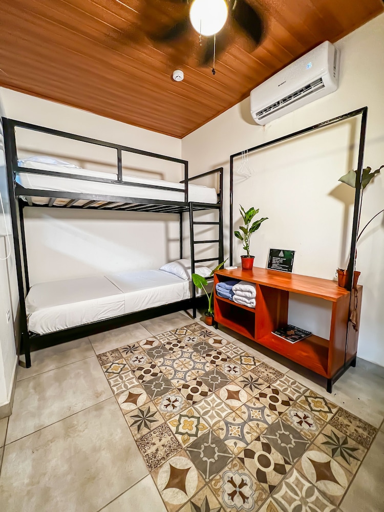 Basic Quadruple Room photo 1