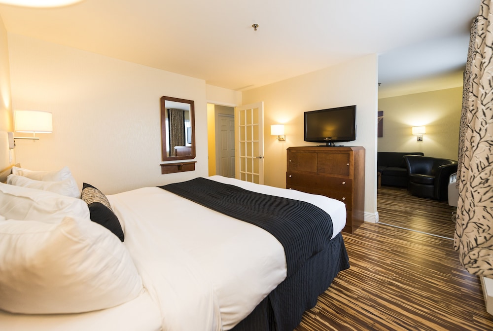 Suite, 1 King Bed photo 1