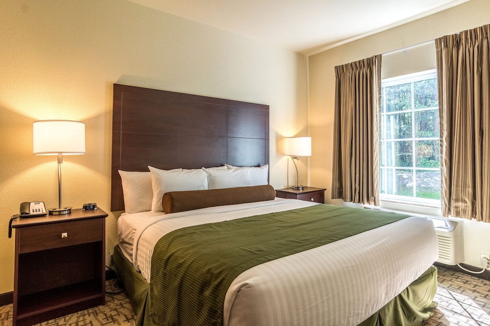 Suite, 1 King Bed with Sofa bed, Accessible, Non Smoking