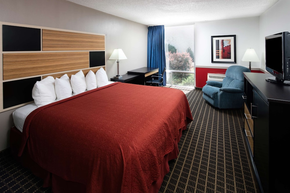 Suite, 1 King Bed