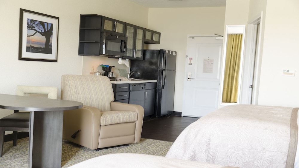 Studio Suite, 2 Queen Beds photo 1
