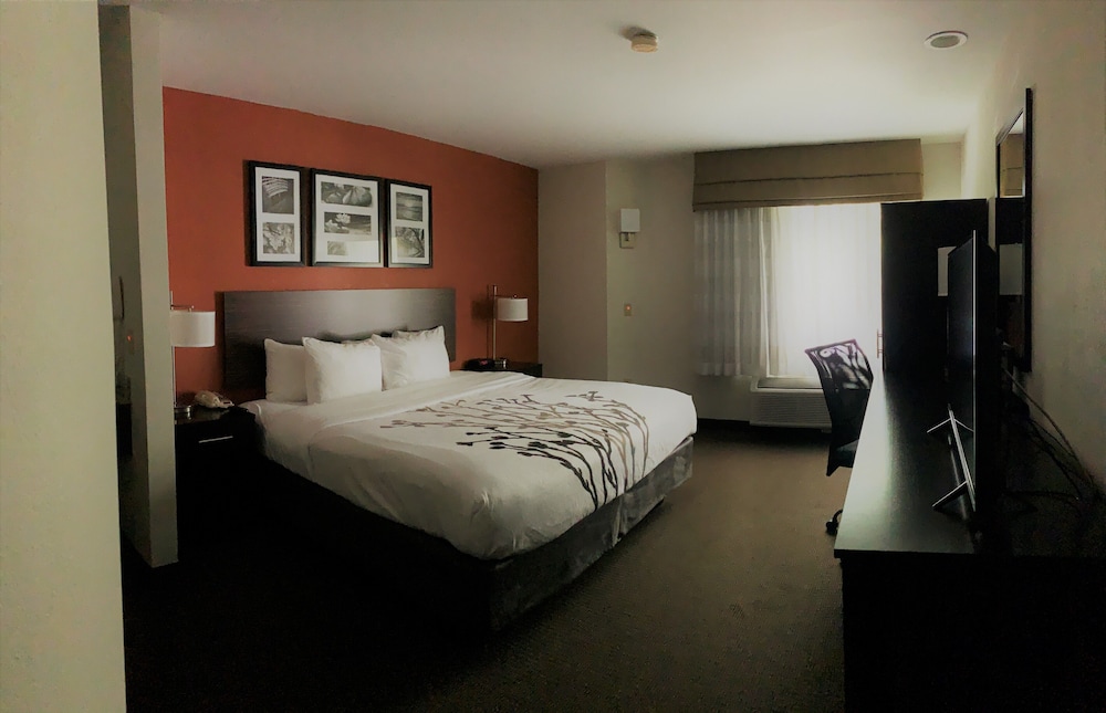 Business Room, 1 King Bed, Non Smoking - Photo 6