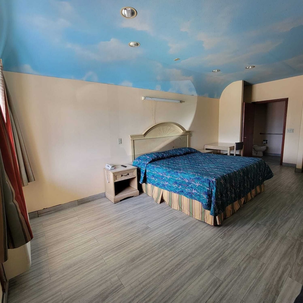 Single Room photo 1