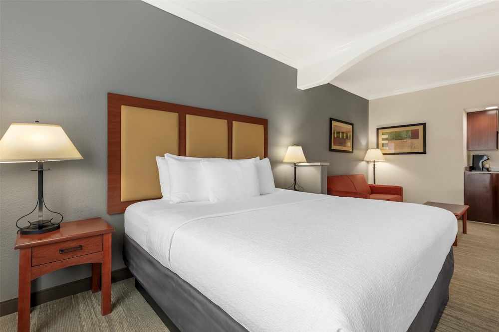 Suite, 1 King Bed, Non Smoking, Refrigerator & Microwave (with Single Sofabed) - Photo 4