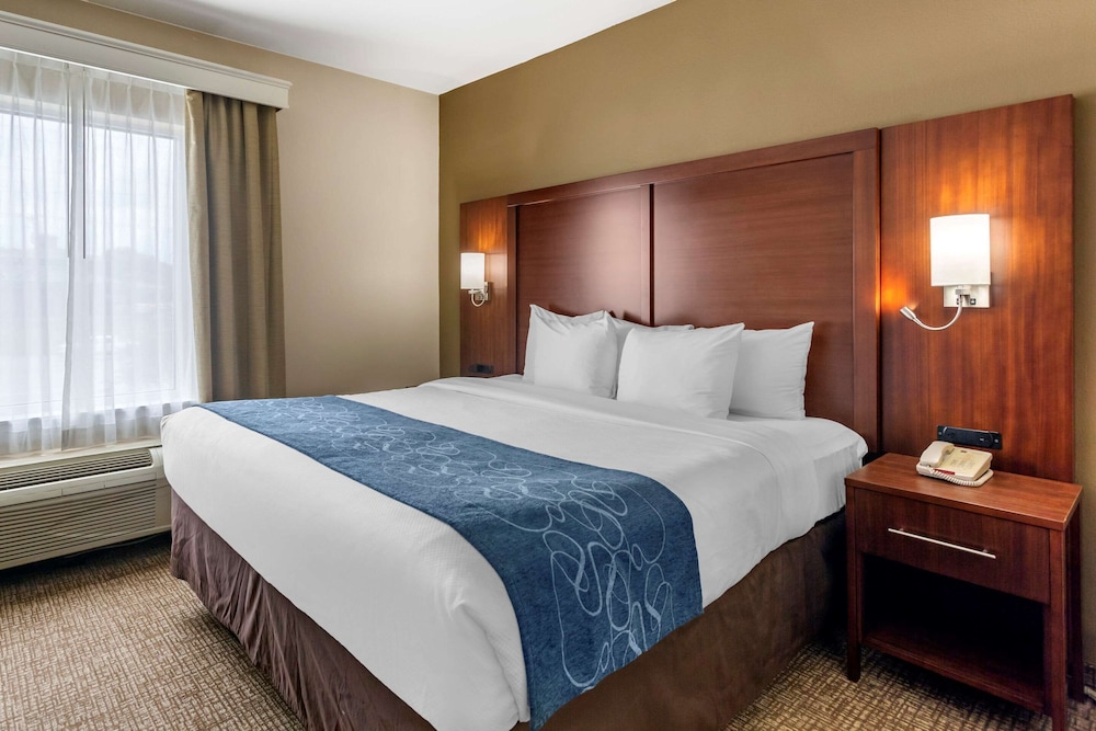 Suite, 1 King Bed and Sofa Bed photo 2