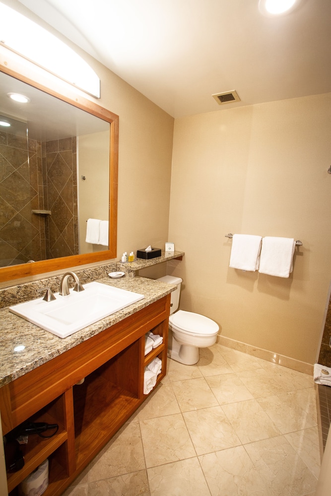 Executive Room, 1 Queen Bed - Photo 4