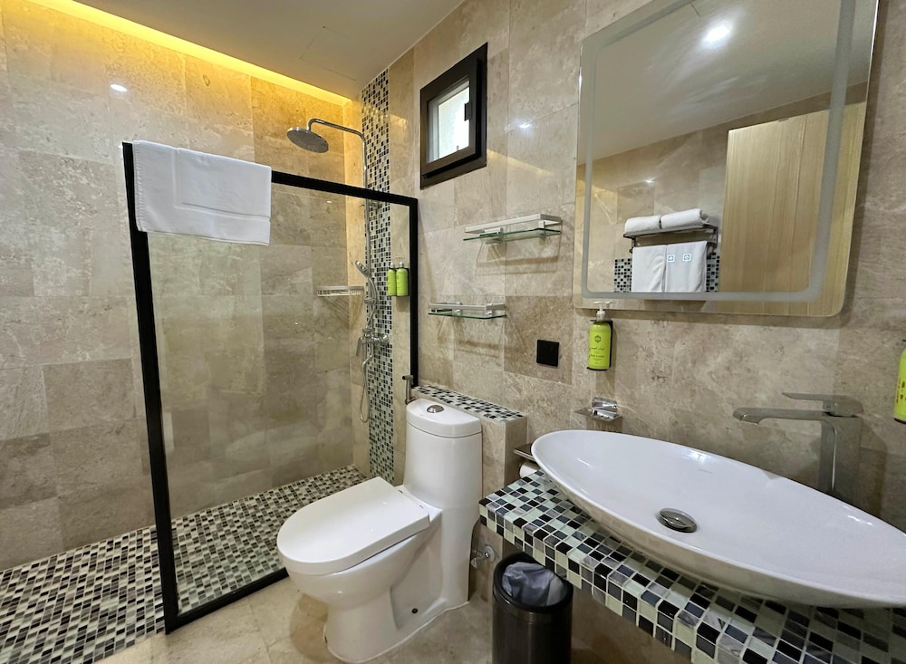 Deluxe Double or Twin Room photo 2