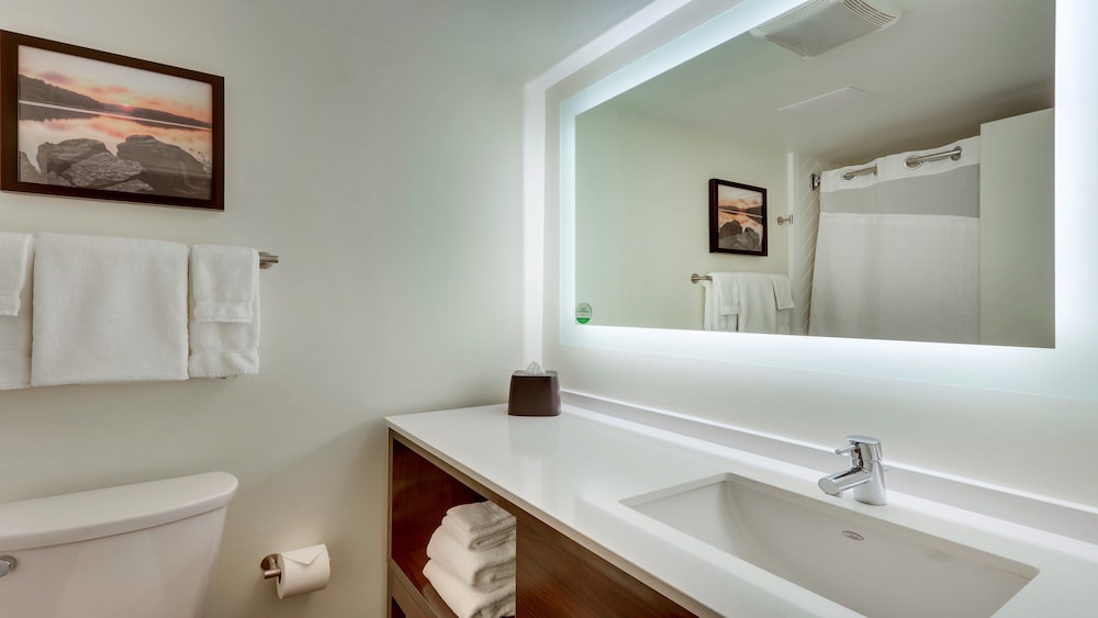 Standard Room, 1 King Bed (Pet Friendly) - Photo 4