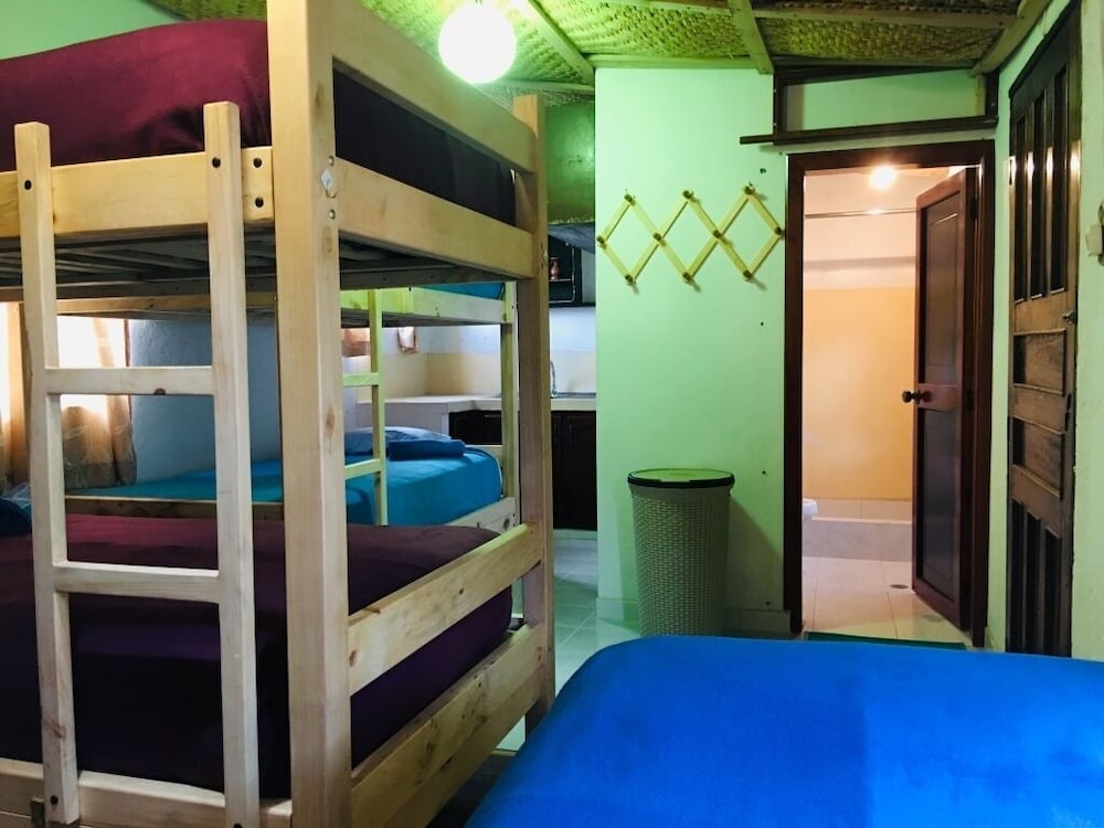 Basic Shared Dormitory photo 1