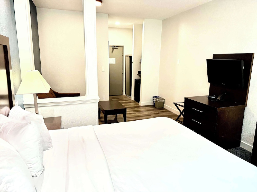 Suite, 1 King Bed, Non Smoking - Photo 1