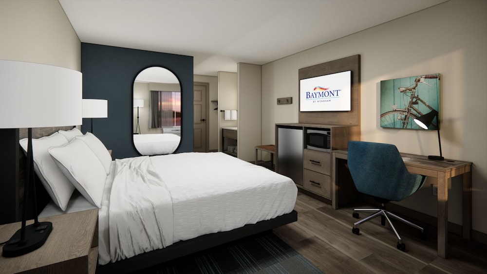 Room, 1 King Bed, Bathtub Grab Bars, Non Smoking (Mobility Accessible) photo 2