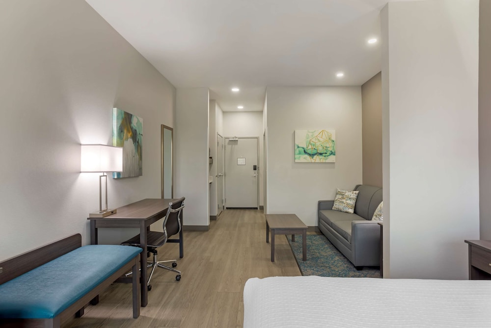 Standard Room, 1 King Bed, Non Smoking, Refrigerator & Microwave (with Sofabed) - Photo 3