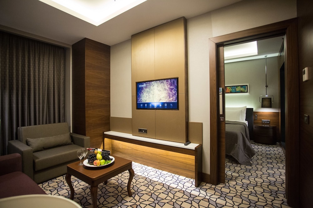 Suite, 1 Queen Bed photo 2