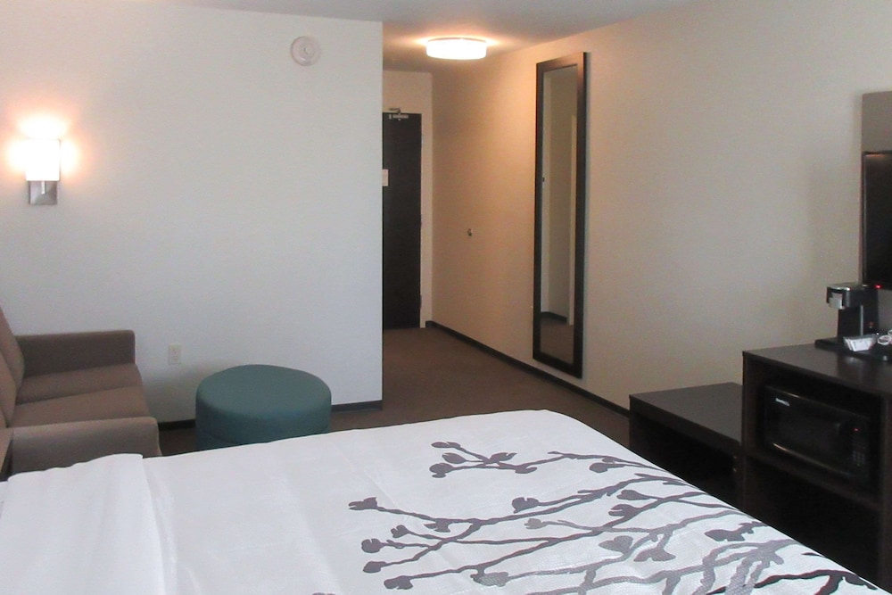Suite, 1 King Bed, Accessible, Non Smoking - Photo 4