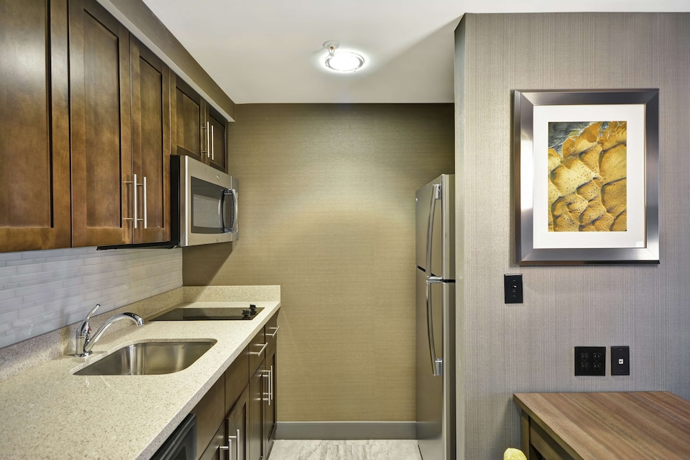 Suite, 1 Bedroom, Non Smoking photo 3