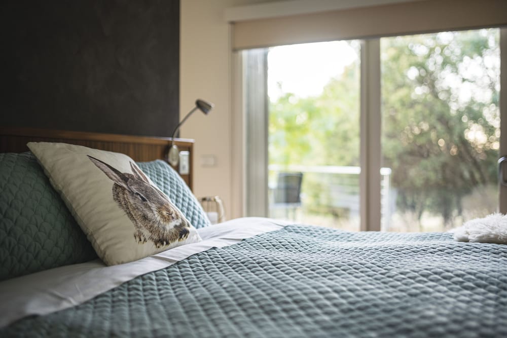 Luxury Studio, 1 King Bed, Fireplace, Mountain View photo 3