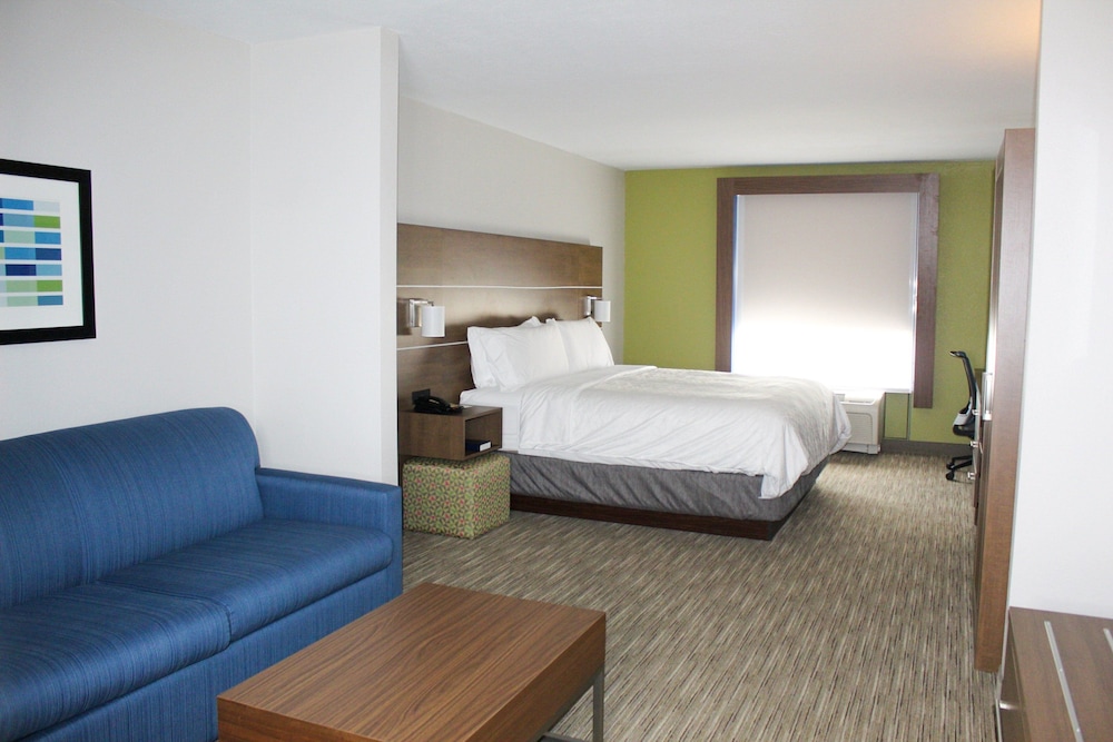 Suite, 1 King Bed, Accessible (Mobil Roll In Shwr) - Photo 2