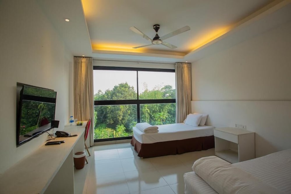 Premium Twin Room photo 1