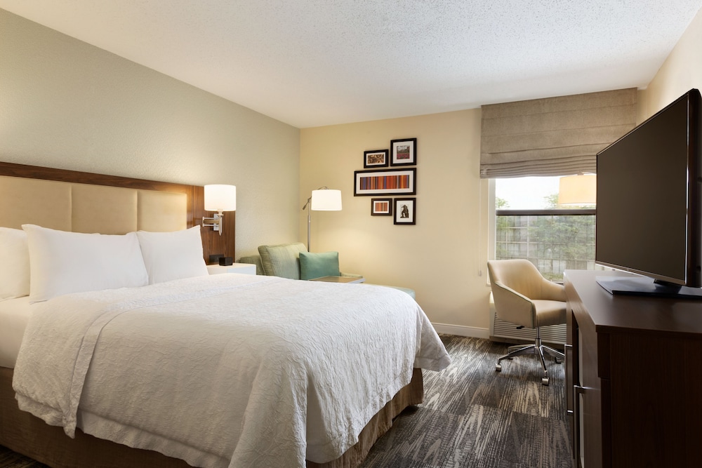 Room, 1 Queen Bed, Non Smoking photo 1