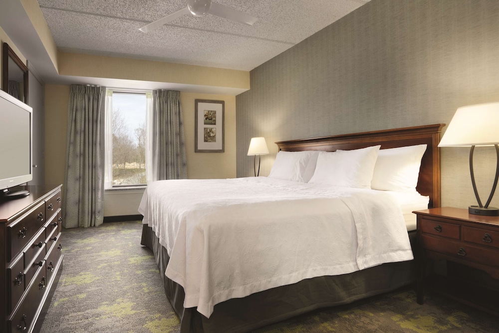 Deluxe Suite, 1 King Bed with Sofa bed, Accessible, Bathtub - Photo 3