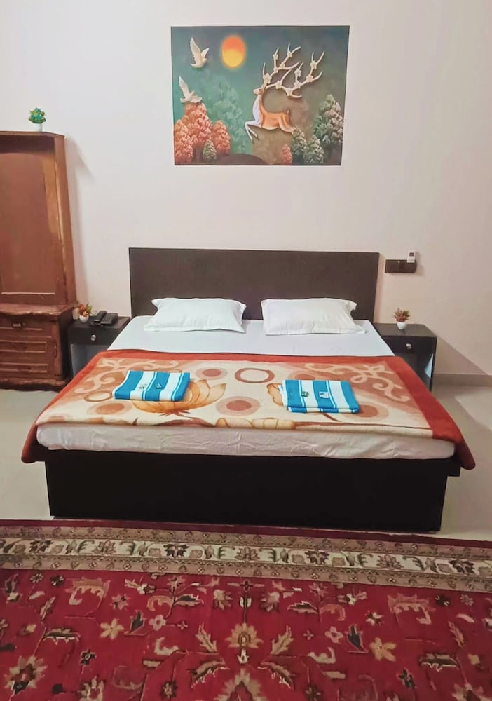 Luxury Room photo 3