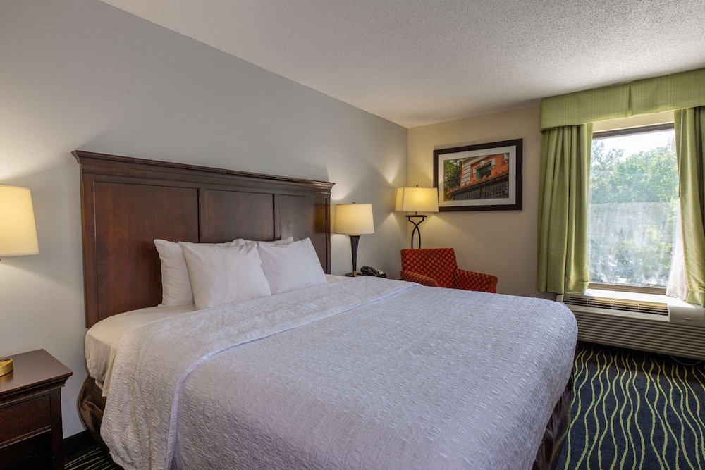 Room, 1 King Bed with Sofa bed (Large Room, Shower Only) photo 1