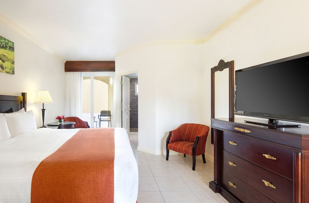 Premier Guest Room