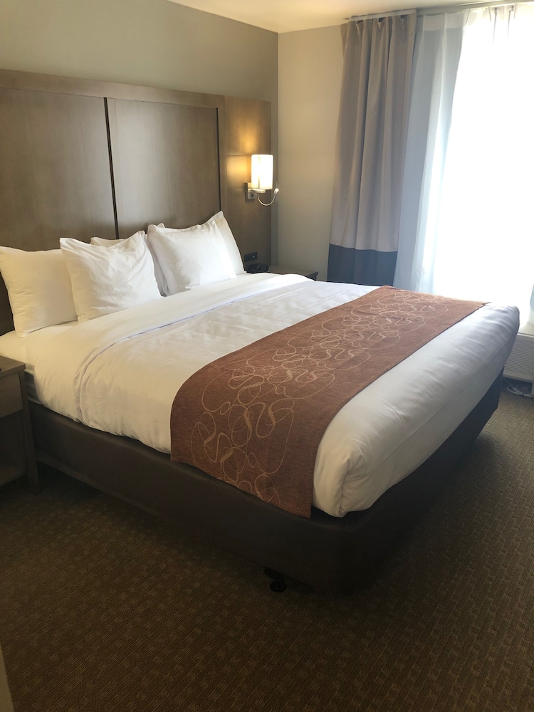 Suite, 1 King Bed with Sofa bed, Non Smoking photo 2