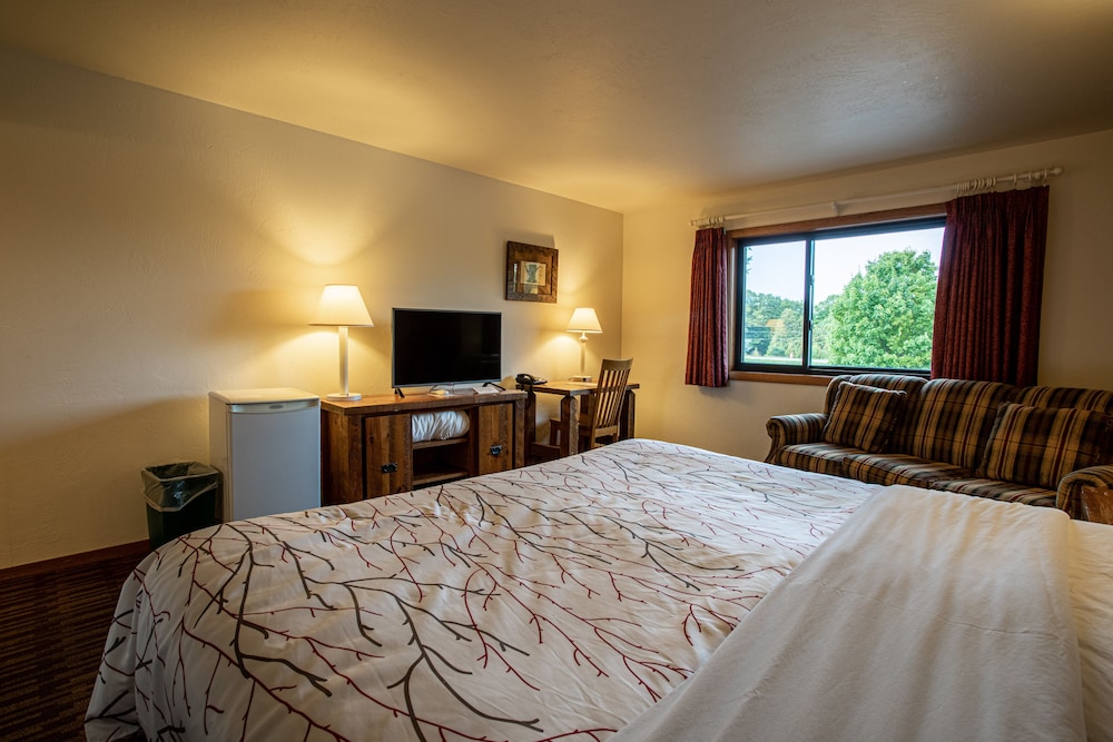 Premium Room, 1 King Bed (No Pets) photo 3